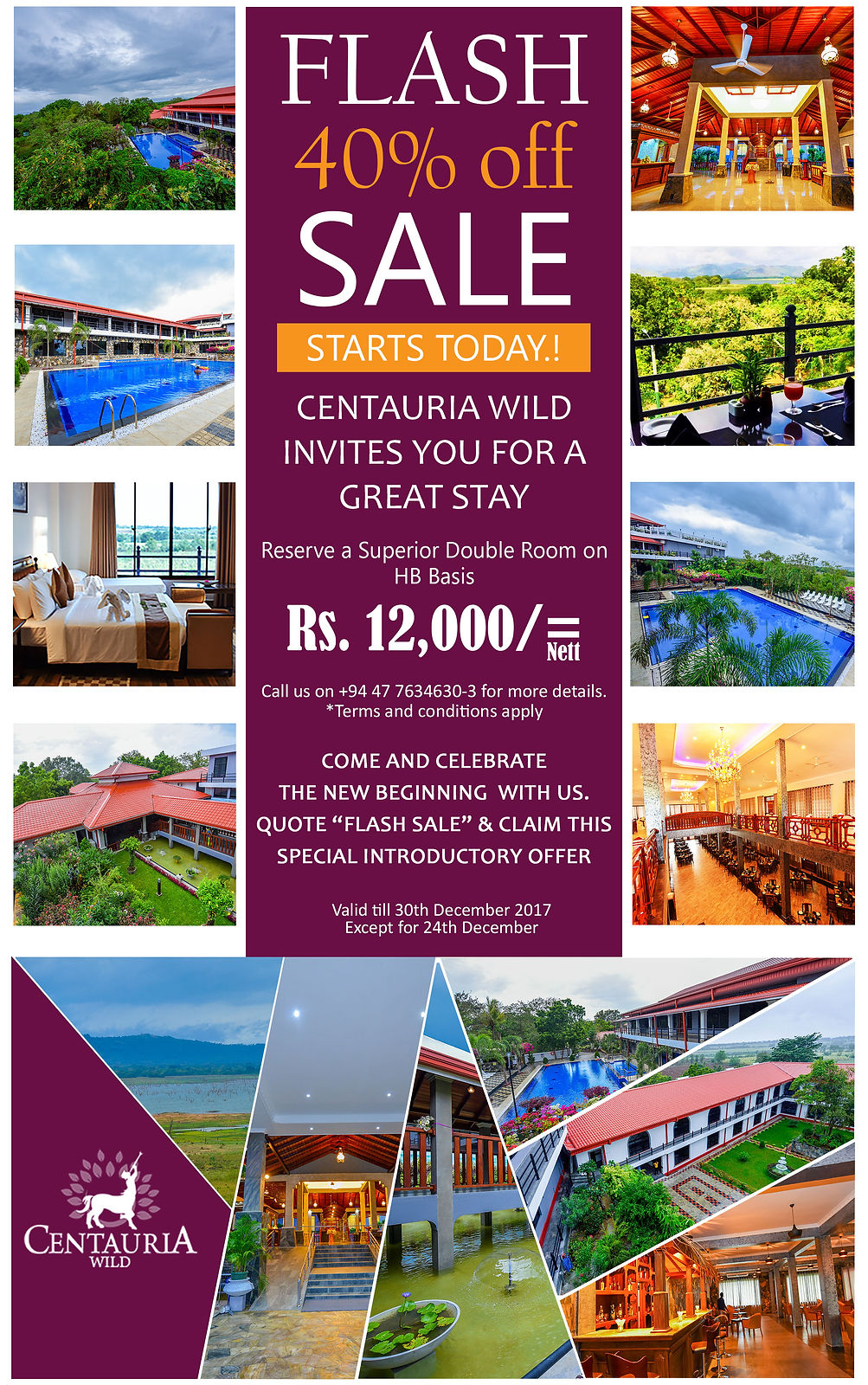 special offer - centauria wild
